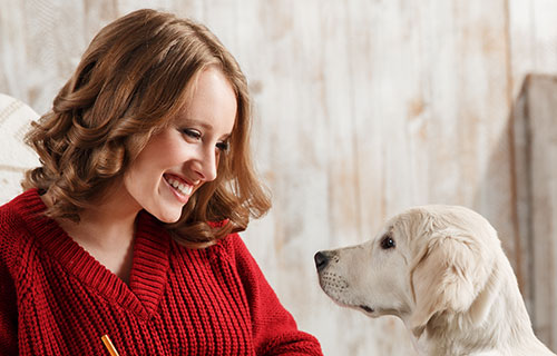 miramigo-hundeakademie-epilepsiehund-start miramigo-hundeakademie-epilepsiehund-start