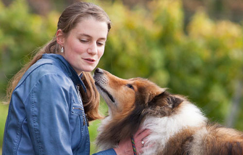 miramigo-hundeakademie-servicehund-start miramigo-hundeakademie-servicehund-start