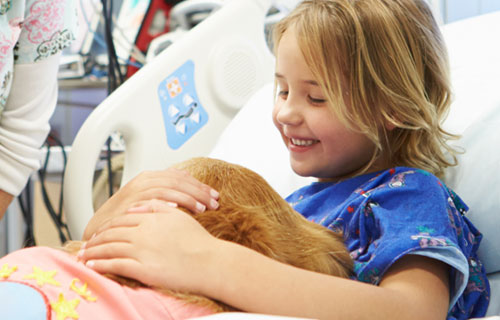 miramigo-hundeakademie-zusatzaufgabe-hund-start miramigo-hundeakademie-zusatzaufgabe-hund-start