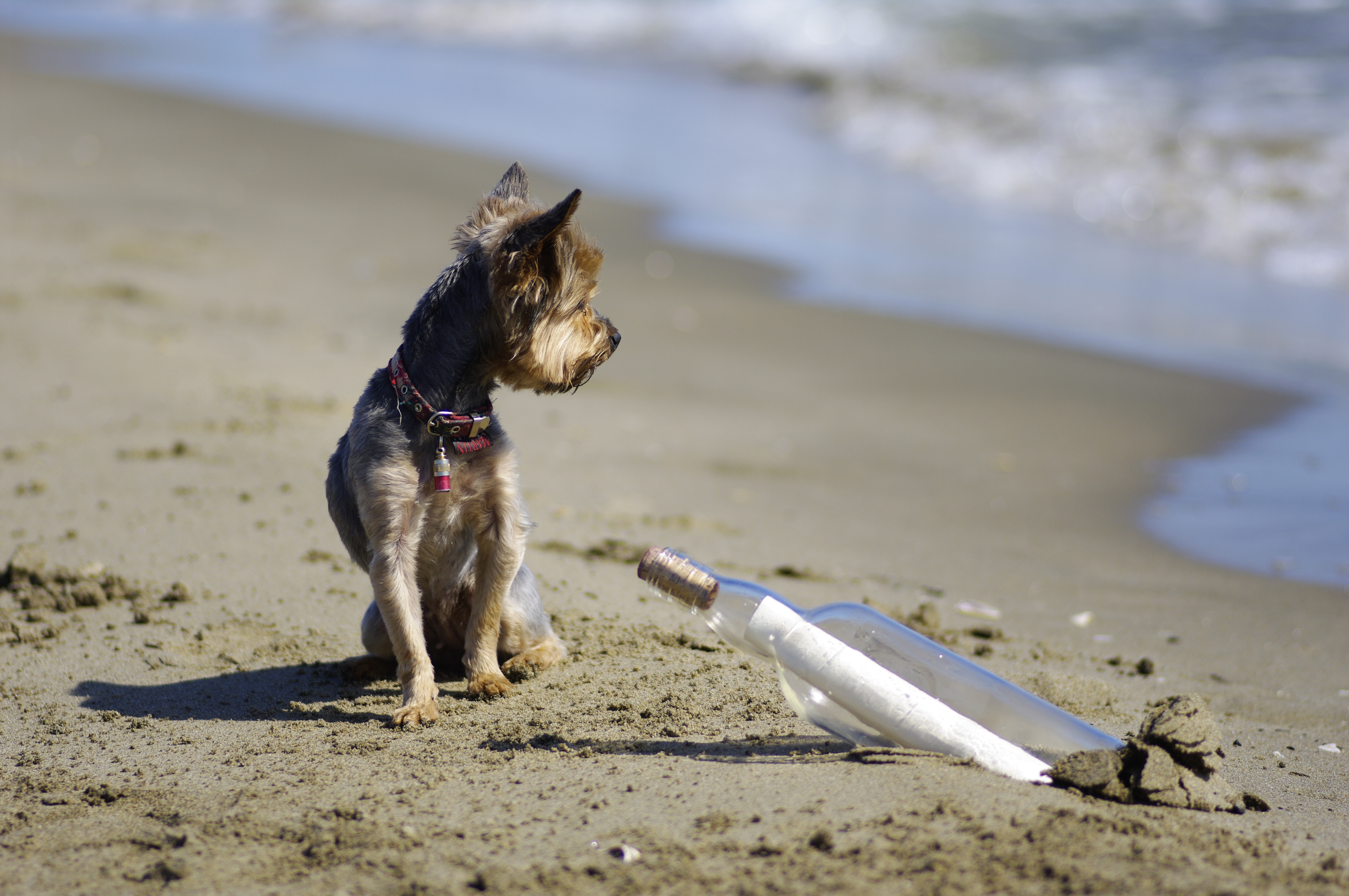 MIRAmigo Flaschenpost erhalten