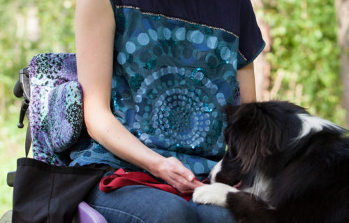 Assistenzhundetraining Stuttgart