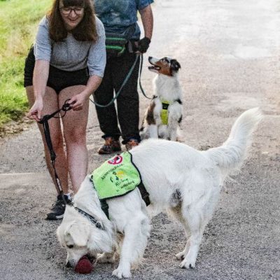 Das Training macht Assistenzhundazubi Sam Spaß, weshalb er voller Begeisterung zur Belohnung seinen Futterbeutel apportiert.