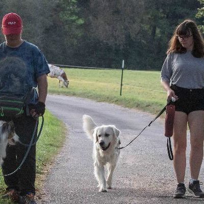 Zwei Assistenzhunde trainieren im Gruppentraining Begegnungssituationen.