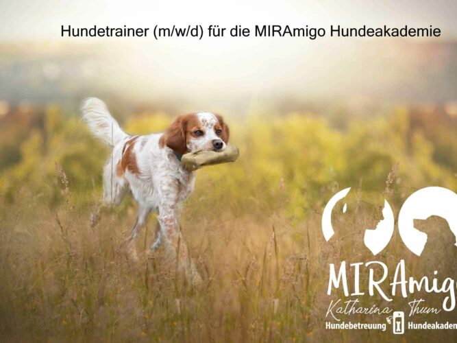 Stellenausschreibung_Hundeakademie_Logo Stellenausschreibung_Hundeakademie_Logo